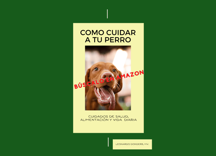 PORTADA LIBRO CUIDADO DE PERROS