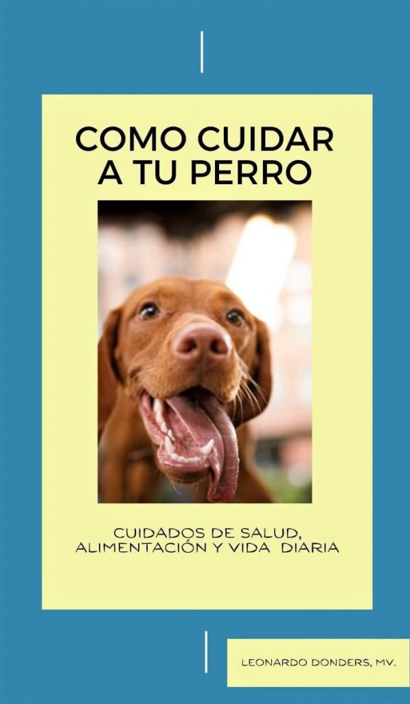 portada de libro como cuidar tu perro
